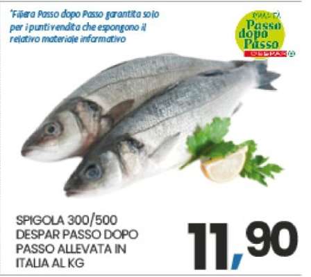 SPIGOLA 300/500