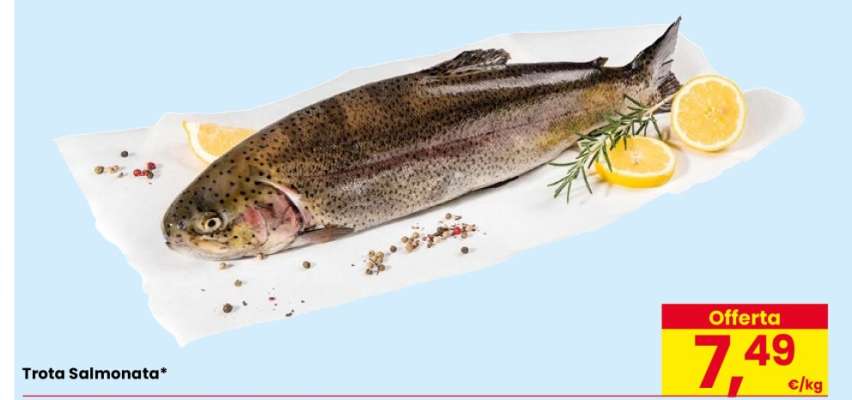 TROTA SALMONATA