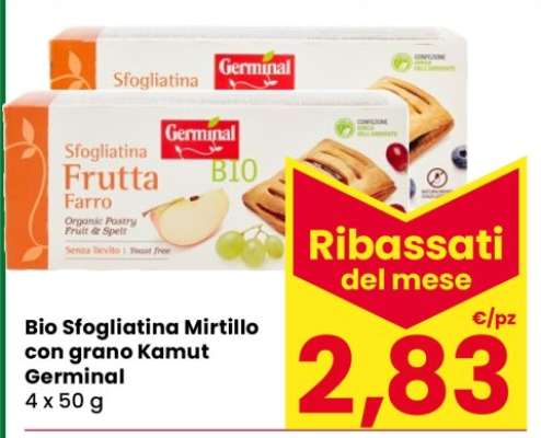 Bio Sfogliatina Mirtillo con grano Kamut Germinal