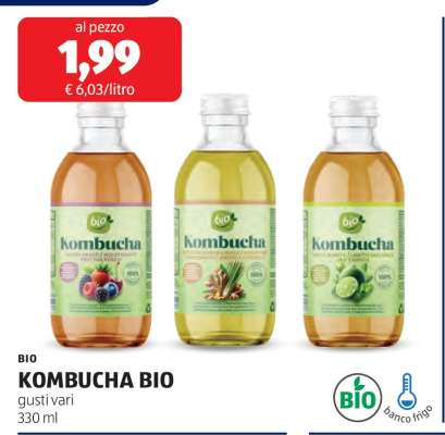 KOMBUCHA BIO