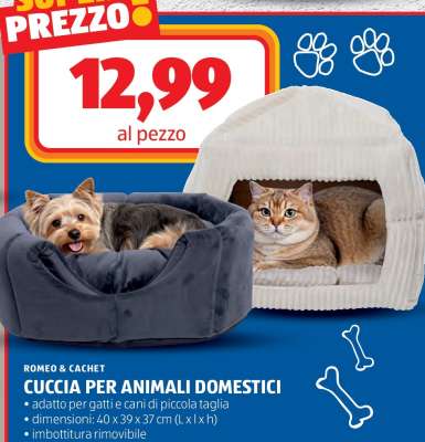 ROMEO & CACHET