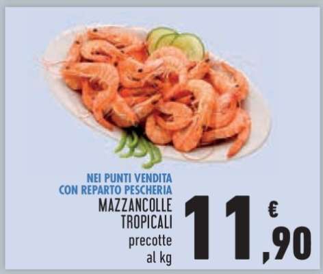 MAZZANCOLLE TROPICALI