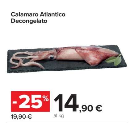 CALAMARO ATLANTICO DECONGELATO