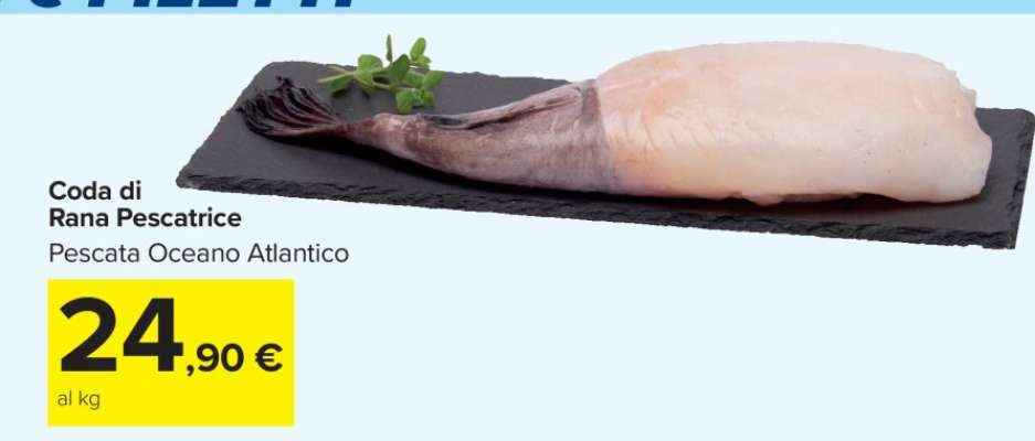 Coda di Rana Pescatrice