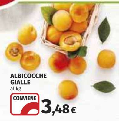 ALBICOCCHE GIALLE