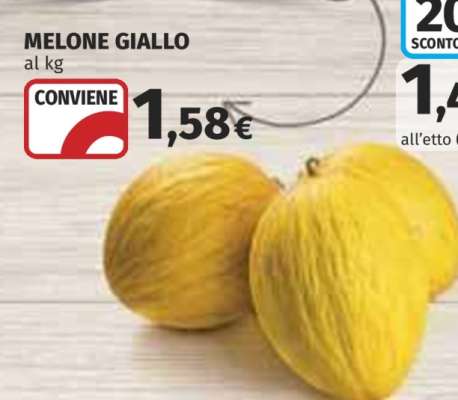 Melone Giallo