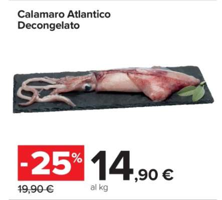 CALAMARO ATLANTICO DECONGELATO