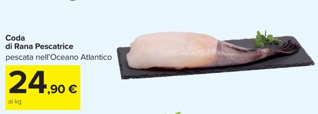 Coda di Rana Pescatrice