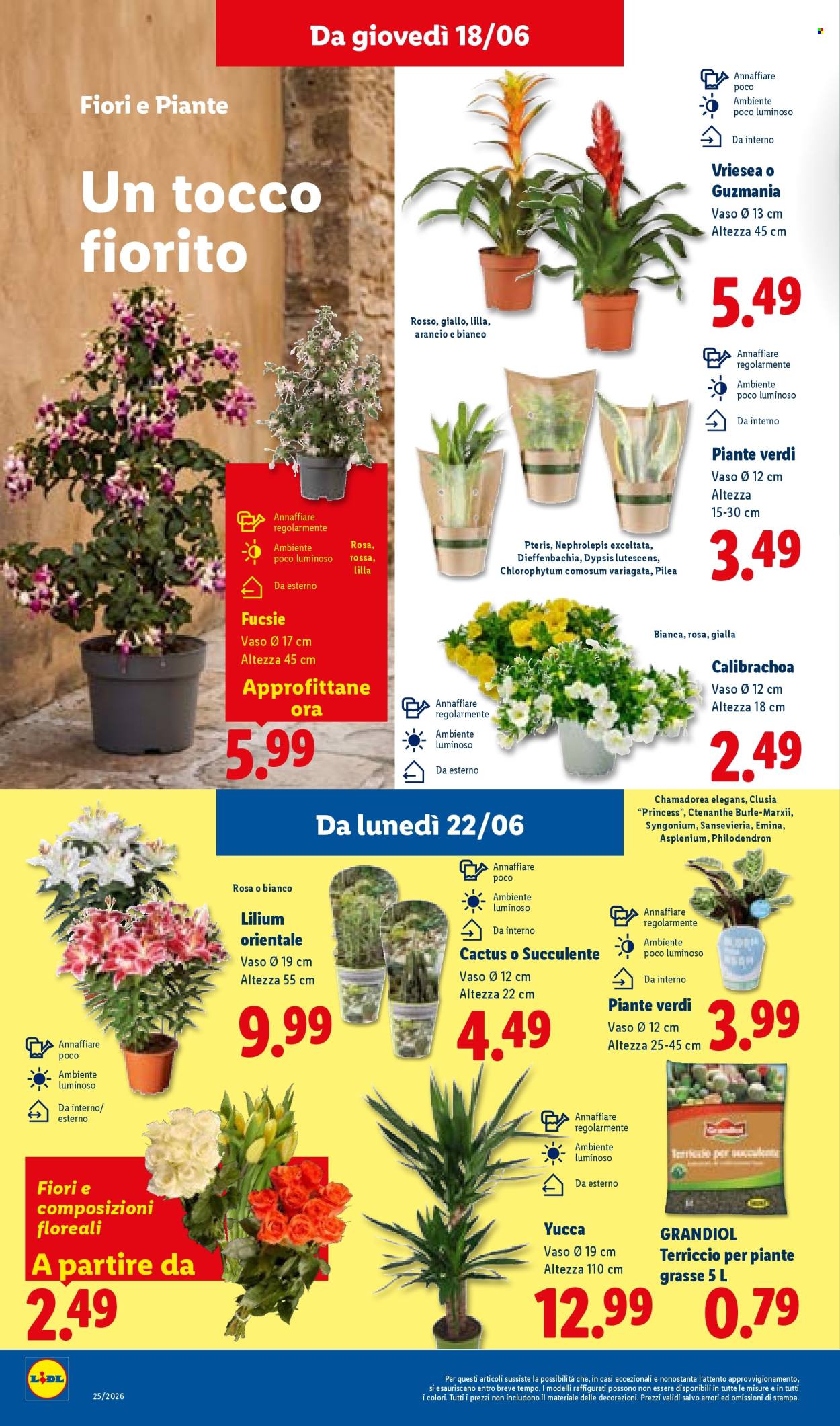 Leták Lidl - 18.6.2026 - 24.6.2026. Strana 32