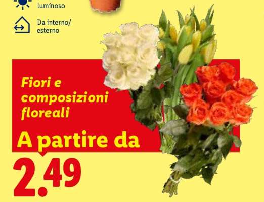 Fiori e composizioni floreali