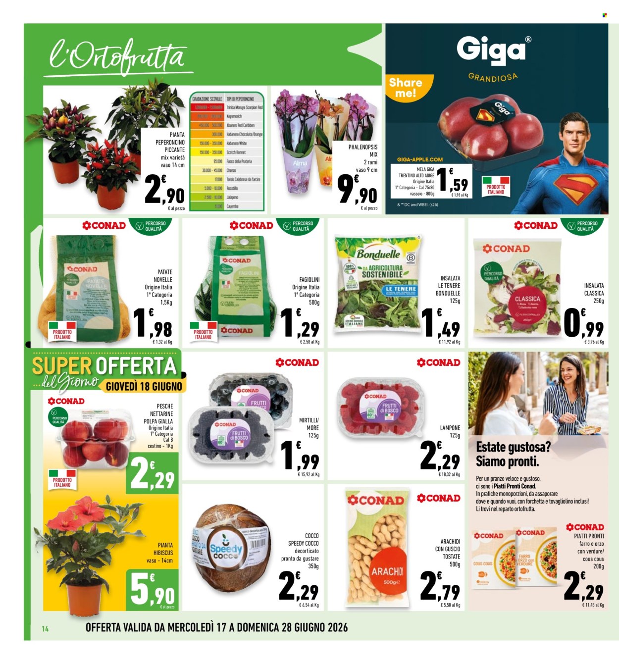 Volantino Conad - 17/6/2026 - 28/6/2026. Pagina 14