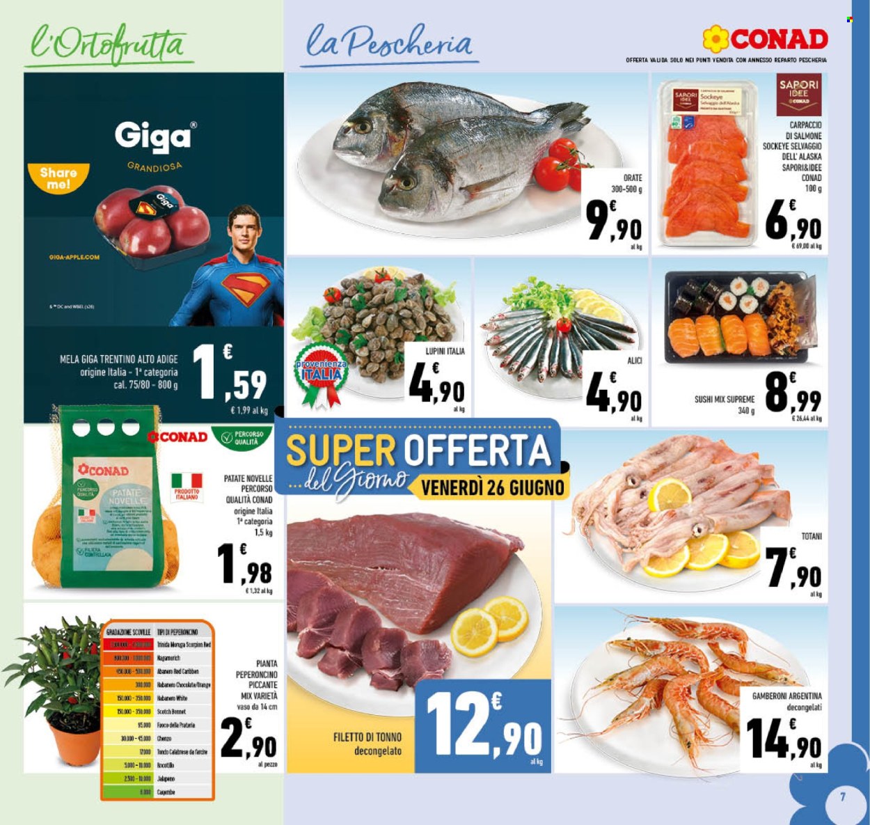 Volantino Conad - 17/6/2026 - 28/6/2026. Pagina 7