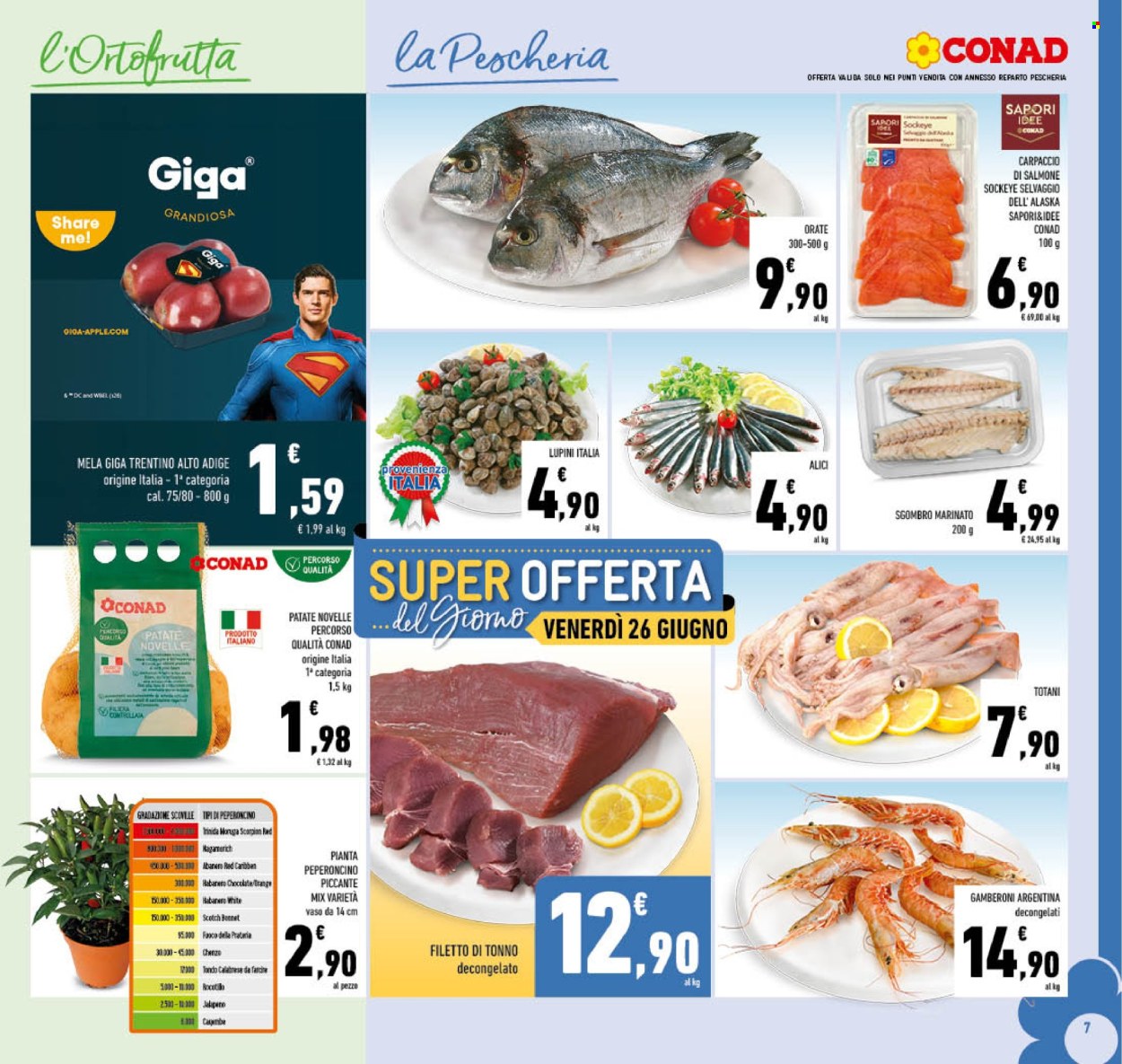 Volantino Conad - 17/6/2026 - 28/6/2026. Pagina 7