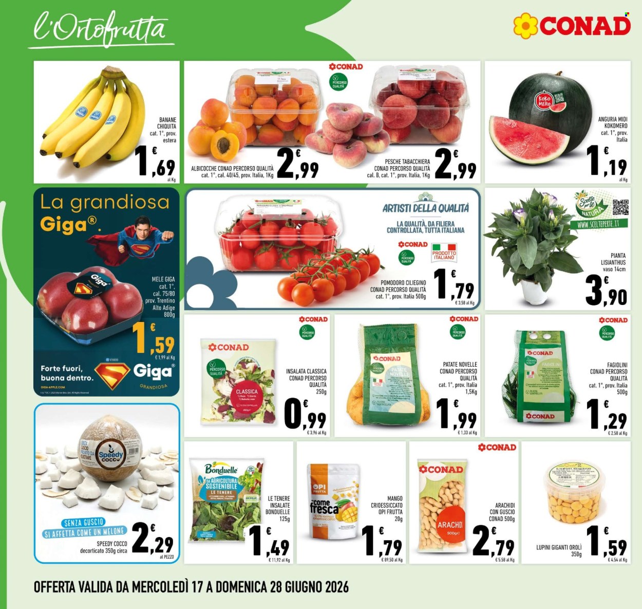 Leták Conad - 17.6.2026 - 28.6.2026. Strana 2