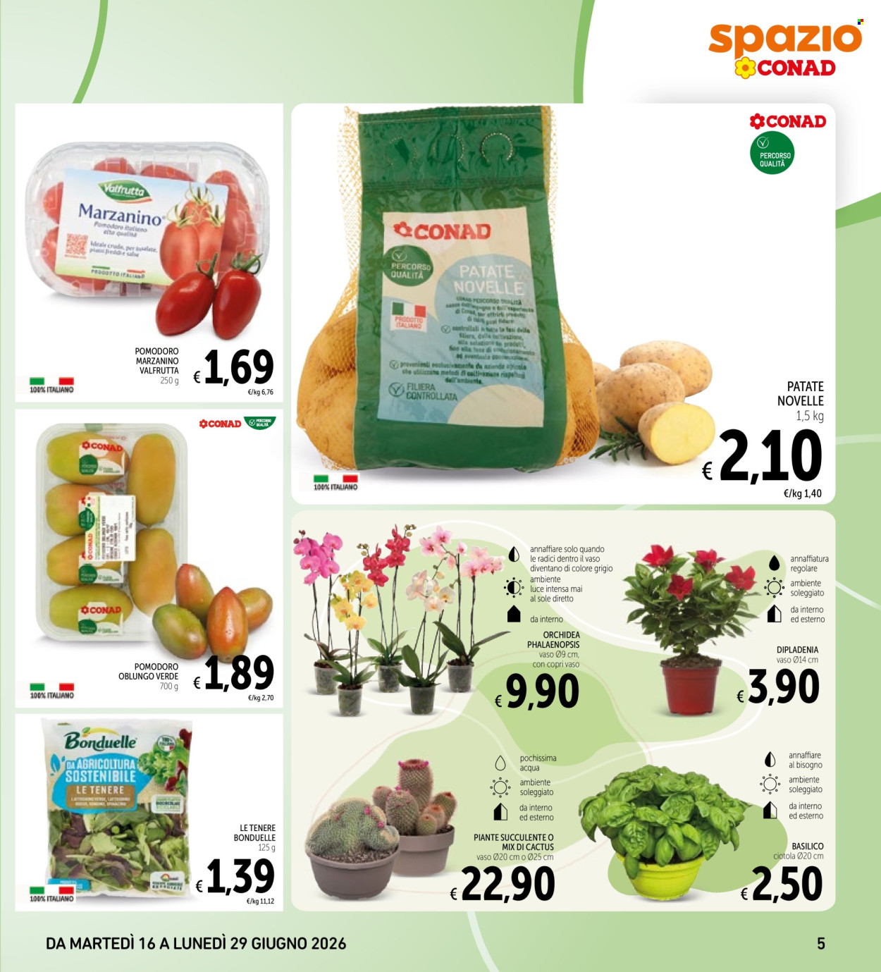 Leták Spazio Conad - 16.6.2026 - 29.6.2026. Strana 5