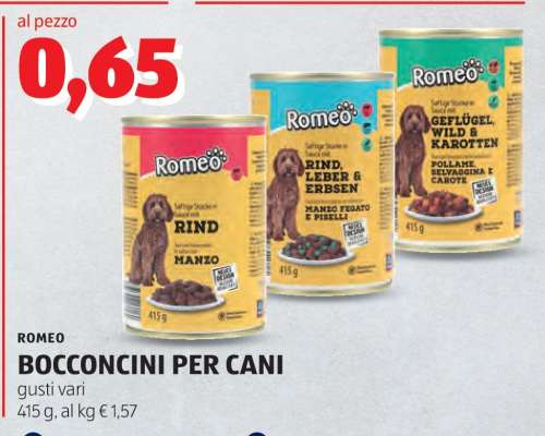 ROMEO BOCCONCINI PER CANI