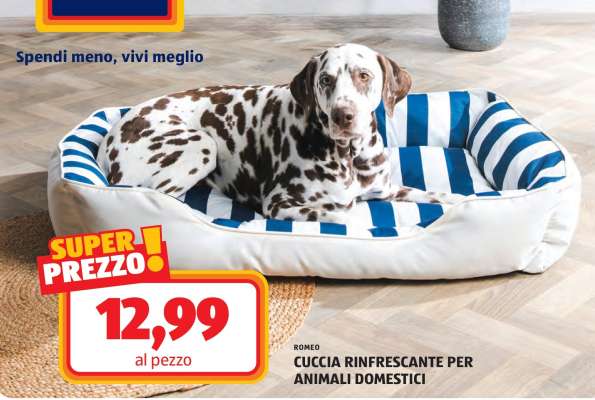 ROMEO