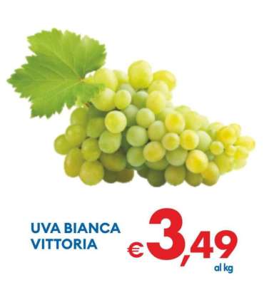 Uva Bianca Vittoria