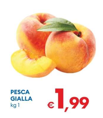 PESCA GIALLA