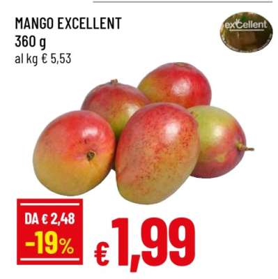 MANGO EXCELLENT