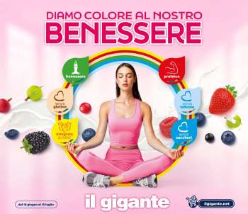 Volantino Il Gigante - 18/6/2026 - 15/7/2026.