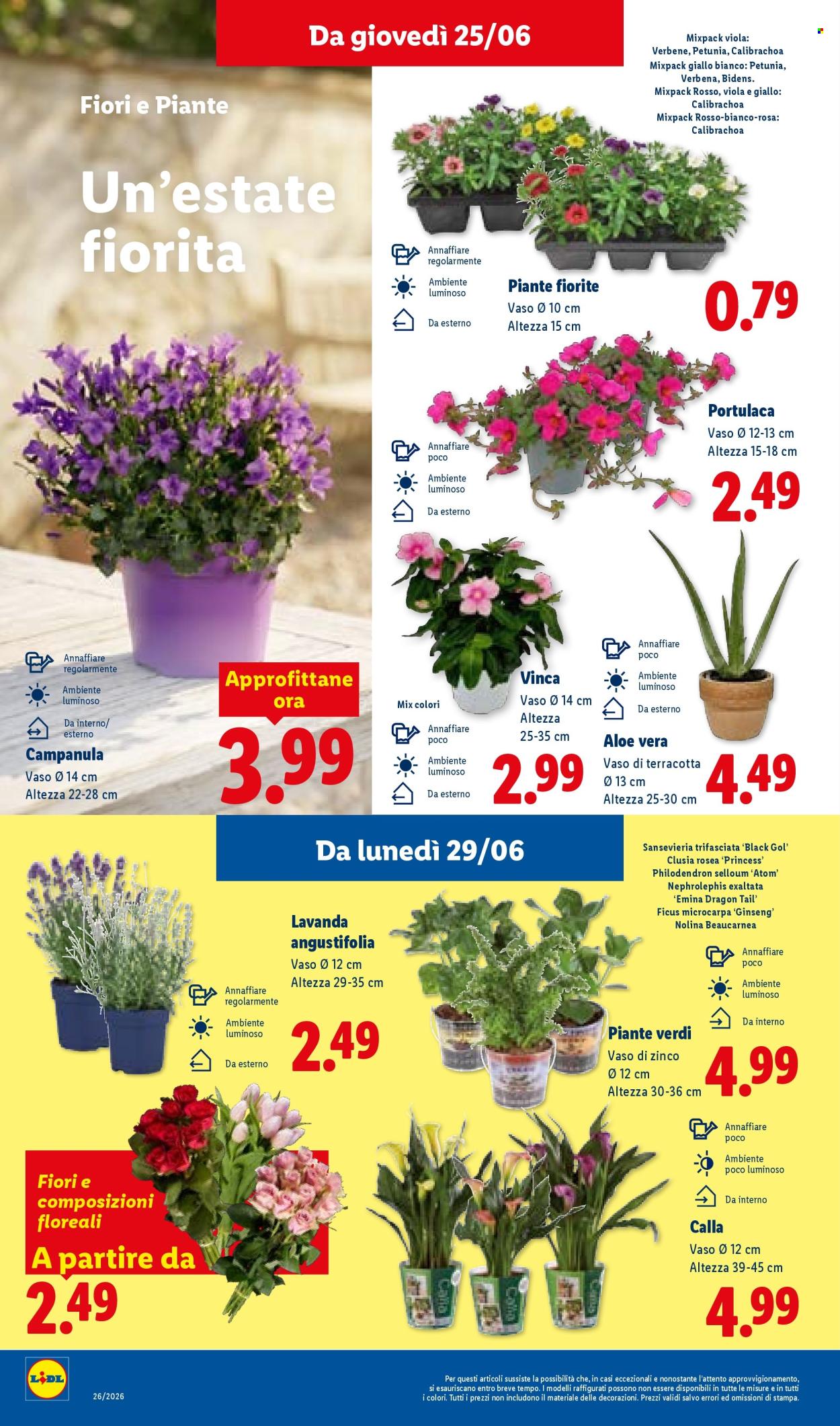 Volantino Lidl - 25/6/2026 - 1/7/2026. Pagina 36