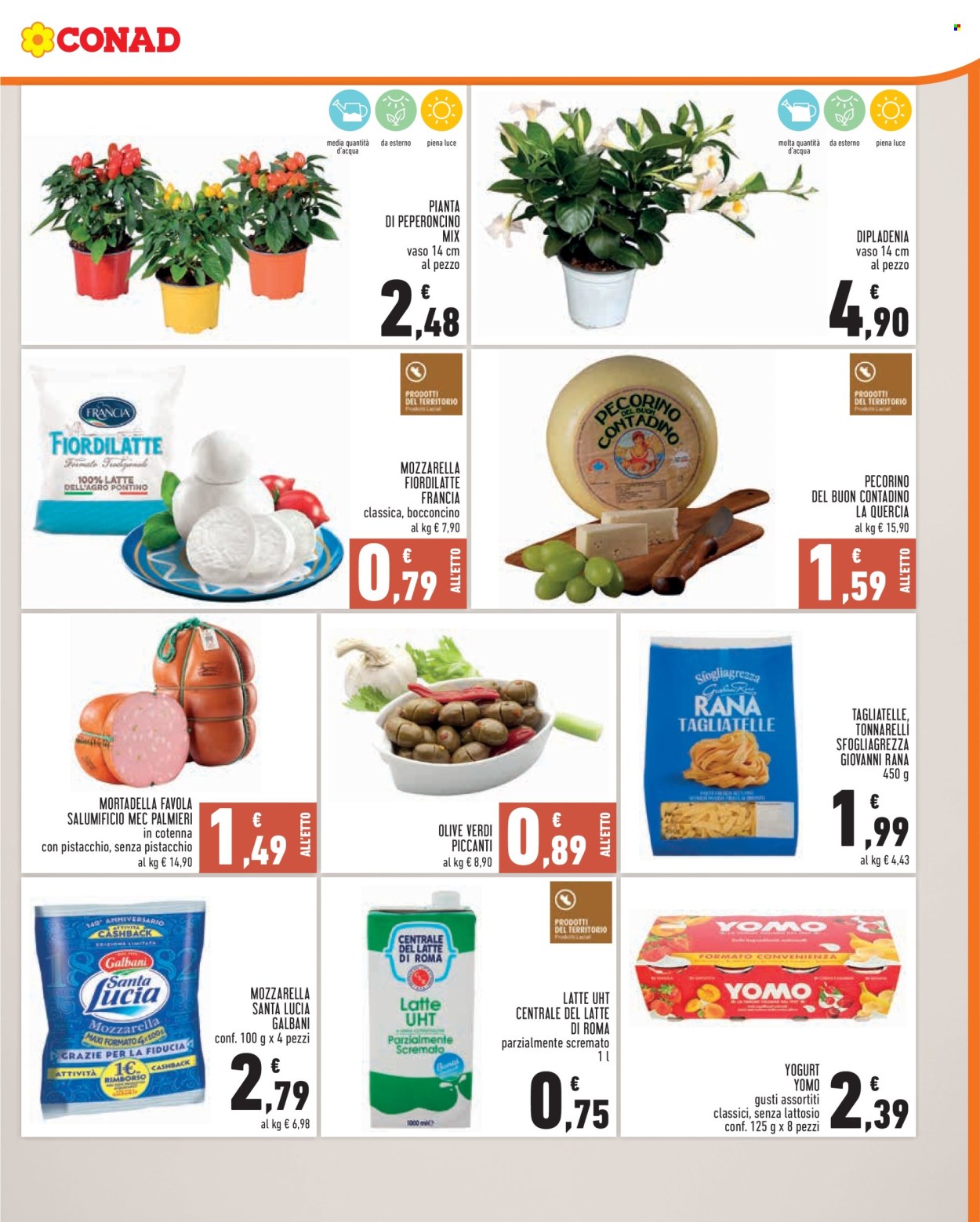 Volantino Conad - 24/6/2026 - 30/6/2026. Pagina 3