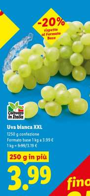 Uva bianca XXL
