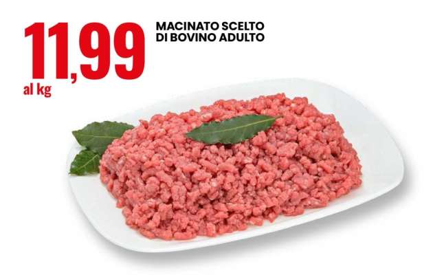 Macinato Scelto Di Bovino Adulto