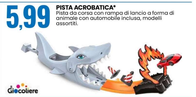 PISTA ACROBATICA