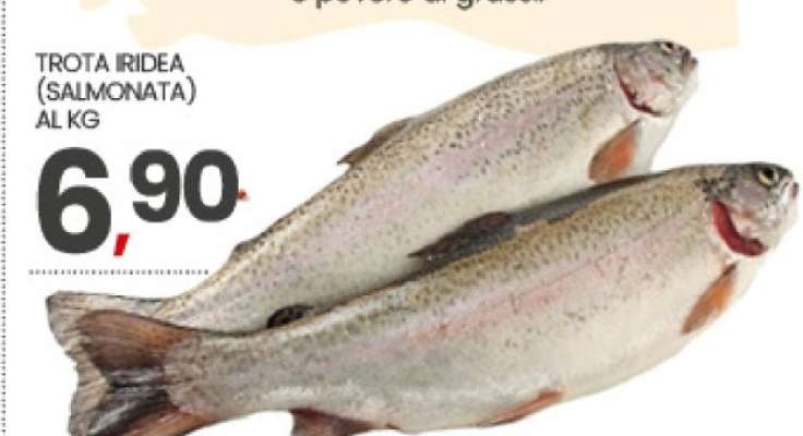 Trota Iridea Salmonata
