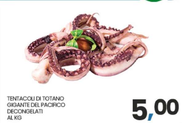 TENTACOLI DI TOTANO GIGANTE DEL PACIFICO DECONGELATI AL KG