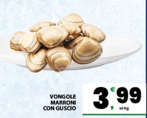 Vongole marroni con guscio
