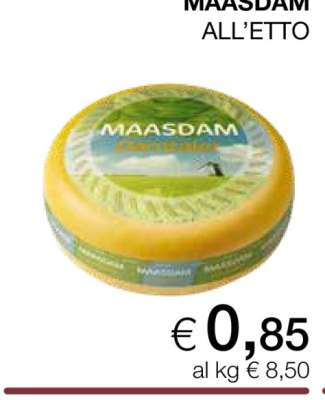 MAASDAM