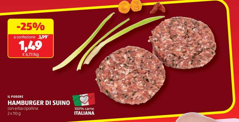 Hamburger Di Suino