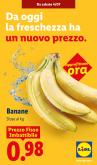 leaflet