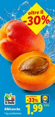 Albicocche