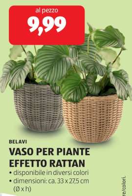 BELAVI