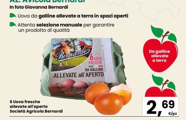 6 Uova fresche allevate all'aperto