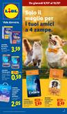 leaflet