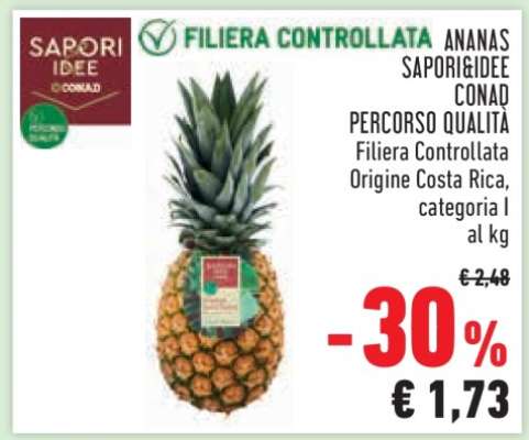 Ananas SAPORI&IDEE CONAD