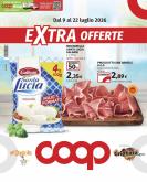 leaflet