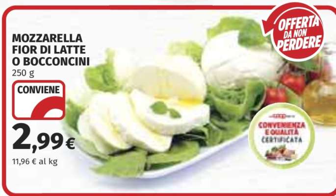 MOZZARELLA FIOR DI LATTE O BOCCONCINI