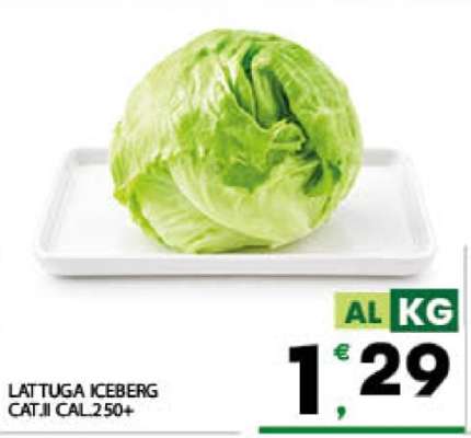 Lattuga Iceberg