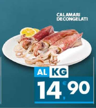 Calamari Decongelati