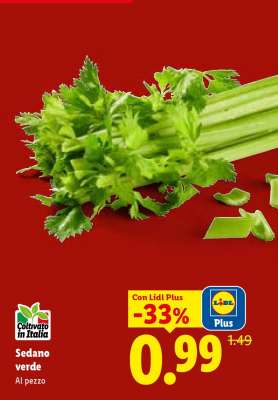 Sedano Verde