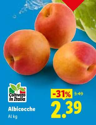 Albicocche