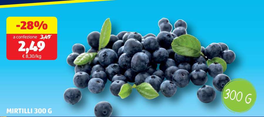 MIRTILLI 300 G