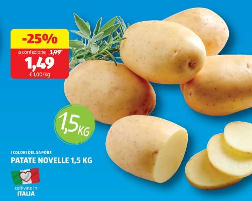 PATATE NOVELLE 1,5 KG