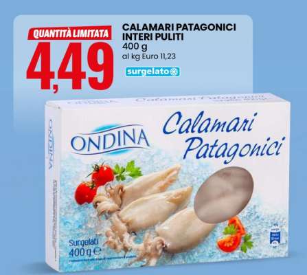 CALAMARI PATAGONICI INTERI PULITI